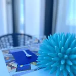 Appartamento Domus